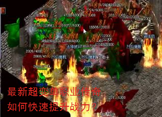 ���³��䵥ְҵ������ο�������ս����