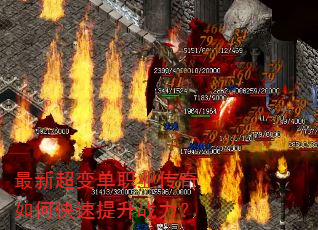 ���³��䵥ְҵ������ο�������ս����