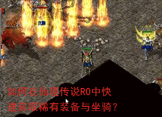 ������ɾ���˵RO�п��ٻ�ȡϡ��װ�������