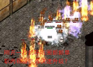 刚开一秒的呼啦圈新新单职丙私服怎么快速升级? 刚开一秒的呼啦圈新新单职丙私服怎么快速升级?