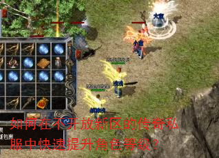 如何在不开放新区的传奇私服中快速提升角色等级? 如何在不开放新区的传奇私服中快速提升角色等级?