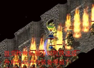 ΢�䴫��˽������ο���������ɫս����װ���ȼ���
