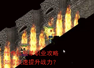 ����˽����ְҵ������ο�������ս����