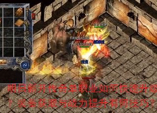 �����¿����浥ְҵ��ο���������װ����ȡ��ս�������кμ��ɣ�