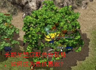 ���ڼ��˳�Ĭ����˽������γ�Ϊ����Ӯ�ң�