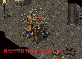 青蛇传奇新手如何快速提升战力? 青蛇传奇新手如何快速提升战力?