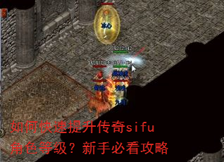 如何快速提升传奇sifu角色等级?新手必看攻略 如何快速提升传奇sifu角色等级?新手必看攻略
