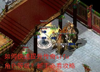 如何快速提升传奇sifu角色等级?新手必看攻略 如何快速提升传奇sifu角色等级?新手必看攻略