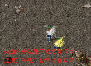 热血传奇私服下载后如何快速提升等级?新手必看攻略 热血传奇私服下载后如何快速提升等级?新手必看攻略