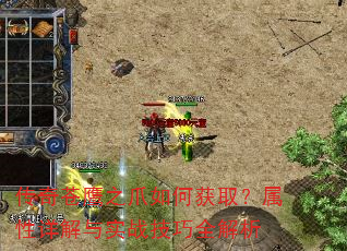 �����ӥ֮צ��λ�ȡ�����������ʵս����ȫ����