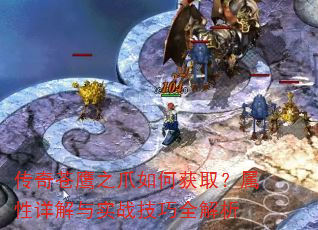 �����ӥ֮צ��λ�ȡ�����������ʵս����ȫ����