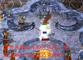 �����ӥ֮צ��λ�ȡ�����������ʵս����ȫ����
