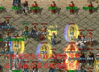 传奇双职业新服如何快速升级?装备获取攻略有哪些? 传奇双职业新服如何快速升级?装备获取攻略有哪些?