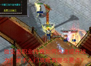 ΢�䵥ְҵ������ο�������ս�����������Ź�������ЩҪ�㣿