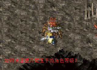 如何快速提升霸王手游角色等级? 如何快速提升霸王手游角色等级?