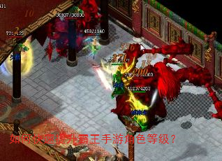 如何快速提升霸王手游角色等级? 如何快速提升霸王手游角色等级?