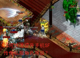 如何快速提升手机SF传奇私服角色等级? 如何快速提升手机SF传奇私服角色等级?