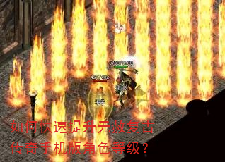 如何快速提升无赦复古传奇手机版角色等级? 如何快速提升无赦复古传奇手机版角色等级?