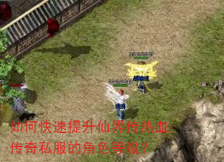 如何快速提升仙界传热血传奇私服的角色等级? 如何快速提升仙界传热血传奇私服的角色等级?