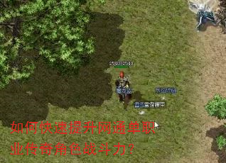 如何快速提升网通单职业传奇角色战斗力? 如何快速提升网通单职业传奇角色战斗力?