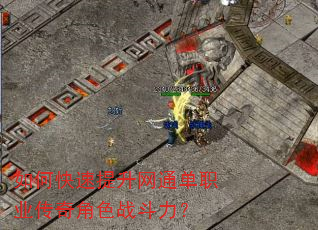 如何快速提升网通单职业传奇角色战斗力? 如何快速提升网通单职业传奇角色战斗力?