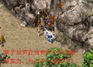 ��������ڴ���SF�п�������ʵ����������һ�ϸ��£�