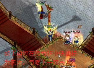 ��������ڴ���SF�п�������ʵ����������һ�ϸ��£�