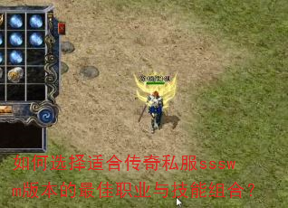 ���ѡ���ʺϴ���˽��ssswm�汾�����ְҵ�뼼����ϣ�