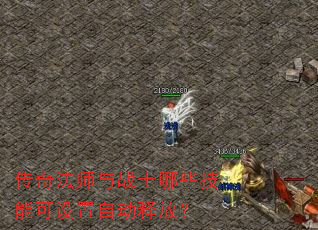 ���淨ʦ��սʿ��Щ���ܿ������Զ��ͷţ�