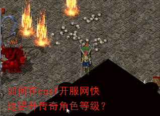 �����cqsf�������������������ɫ�ȼ���
