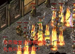 ��̬è���Ŵ�����ʧ�������λ�ȡ��