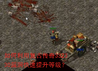 ������ø��Ŵ���332330©�����������ȼ���