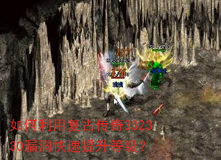 ������ø��Ŵ���332330©�����������ȼ���