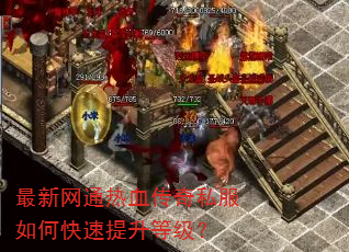 最新网通热血传奇私服如何快速提升等级? 最新网通热血传奇私服如何快速提升等级?