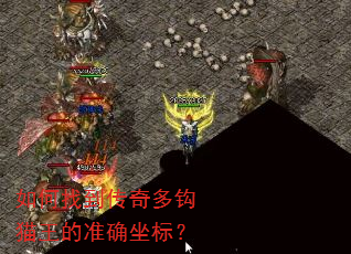 如何找到传奇多钩猫王的准确坐标? 如何找到传奇多钩猫王的准确坐标?