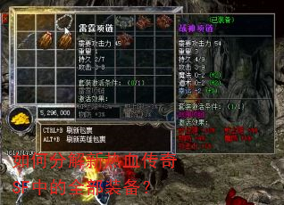 ��ηֽ�����Ѫ����SF�е�ȫ��װ����