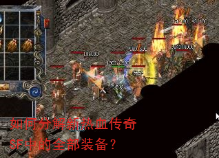 ��ηֽ�����Ѫ����SF�е�ȫ��װ����