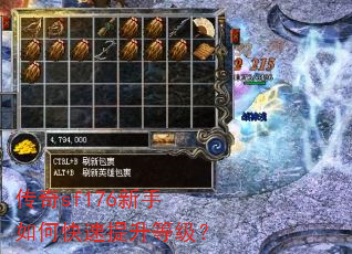 ����sf176������ο��������ȼ���