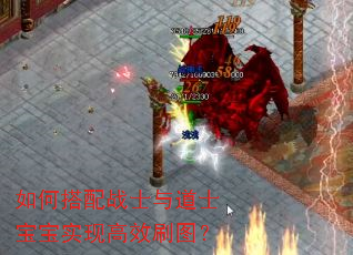 如何搭配战士与道士宝宝实现高效刷图? 如何搭配战士与道士宝宝实现高效刷图?