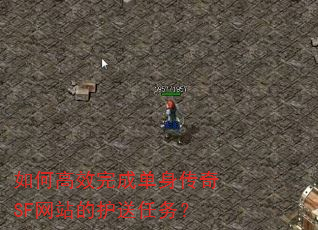 ��θ�Ч��ɵ�������SF��վ�Ļ�������