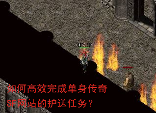 ��θ�Ч��ɵ�������SF��վ�Ļ�������