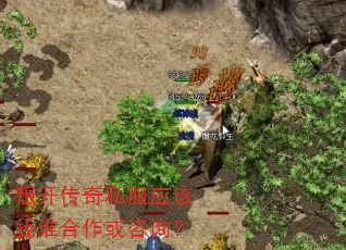 想开传奇私服应该找谁合作或咨询? 想开传奇私服应该找谁合作或咨询?