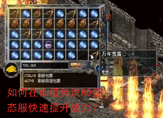 ������ɾ���˵RO��̬����������ս����