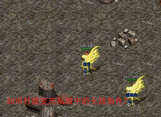 ��δ����̬˽���е��޵н�ɫ��