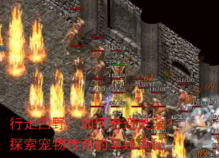 ������Ұ�����������裿̽�����ﴫ����������