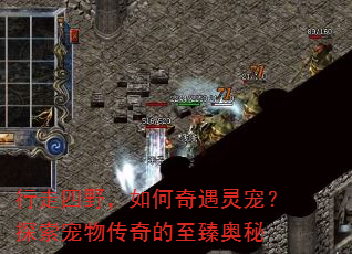 ������Ұ�����������裿̽�����ﴫ����������
