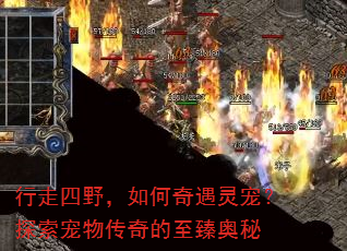 ������Ұ�����������裿̽�����ﴫ����������