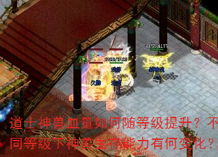 ��ʿ����Ѫ�������ȼ���������ͬ�ȼ����������������кα仯��