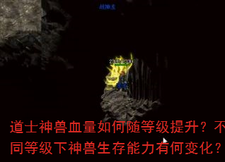 ��ʿ����Ѫ�������ȼ���������ͬ�ȼ����������������кα仯��