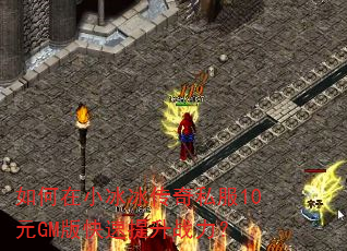 �����С��������˽��10ԪGM���������ս����
